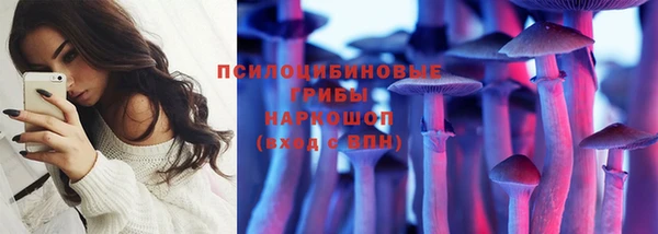 a pvp Карпинск