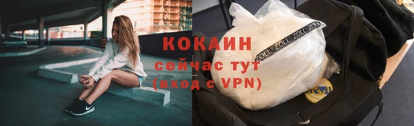 индика Карталы