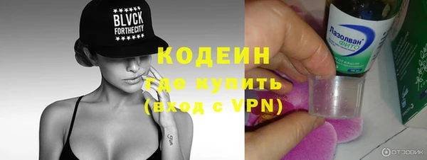 индика Карталы