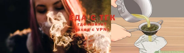 индика Карталы