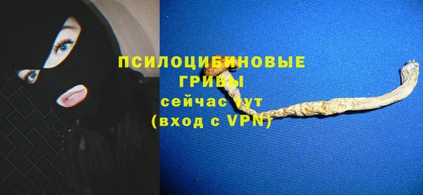 индика Карталы