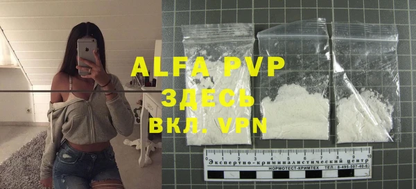 индика Карталы