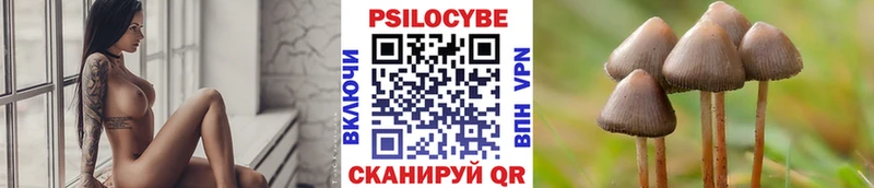 Купить закладки Талица Псилоцибиновые грибы прущие грибы